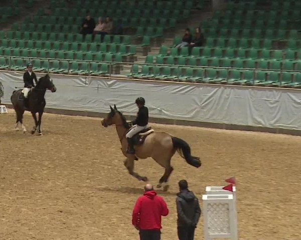 Reitturnier Kreuth/Opf. 2023