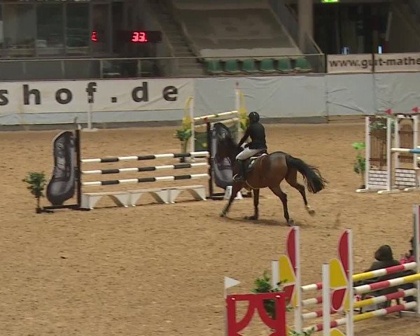 Reitturnier Kreuth/Opf. 2023
