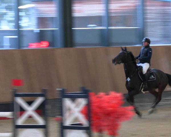 Reitturnier Zwickau 2023