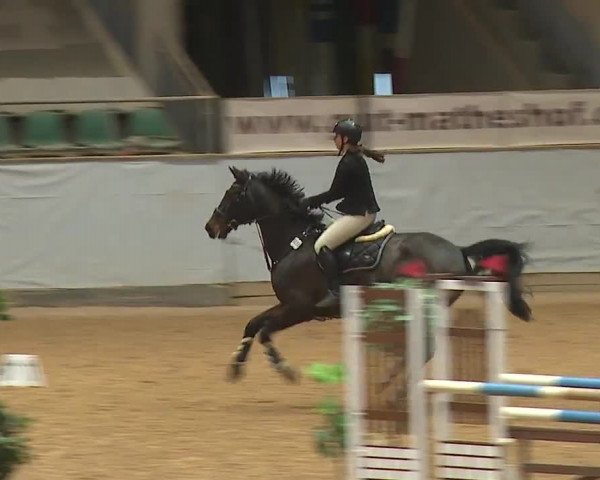 Reitturnier Kreuth/Opf. 2023