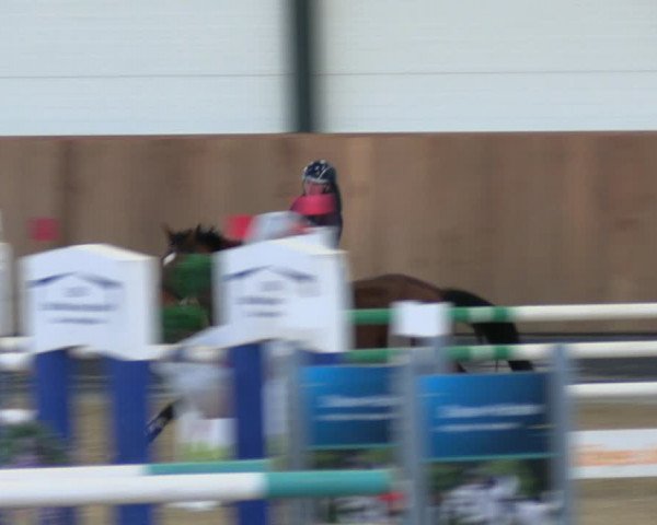 Reitturnier Zwickau 2023