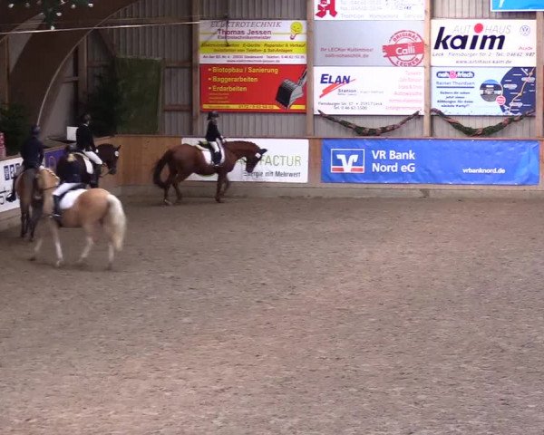Reitturnier Leck 2023