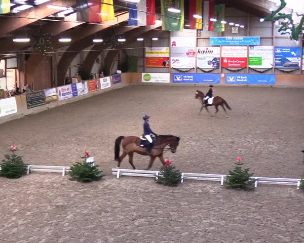 Reitturnier Leck 2023