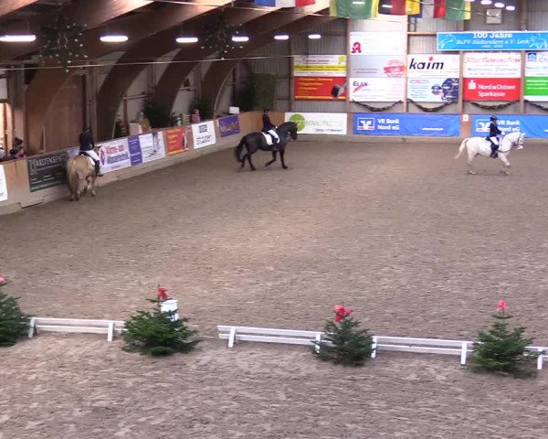 Reitturnier Leck 2023