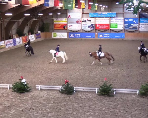 Reitturnier Leck 2023