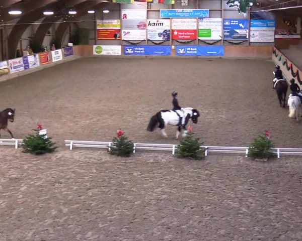 Reitturnier Leck 2023