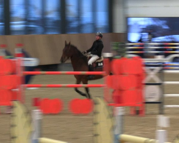 Reitturnier Zwickau 2023