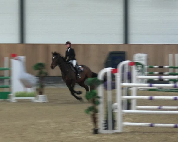 Reitturnier Zwickau 2023