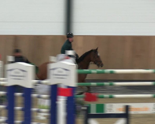 Reitturnier Zwickau 2023
