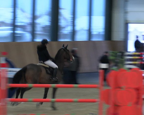 Reitturnier Zwickau 2023