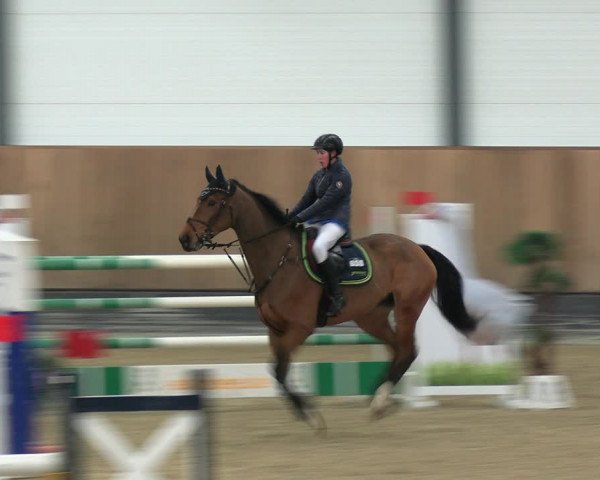 Reitturnier Zwickau 2023