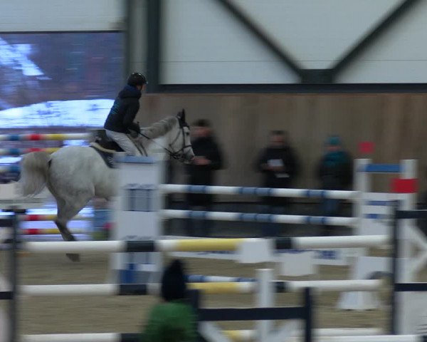 Reitturnier Zwickau 2023