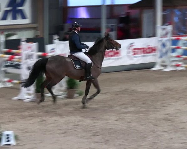 2. Nordic Jumping event Negernbötel 2023