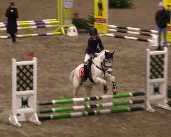 Reitturnier Leck 2023