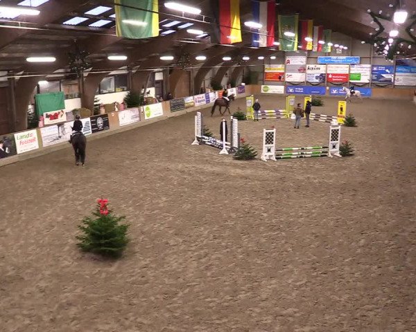 Reitturnier Leck 2023
