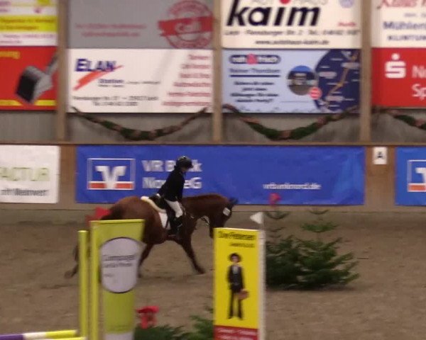 Reitturnier Leck 2023