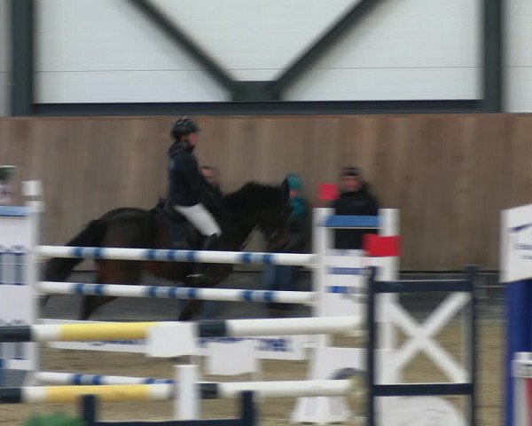 Reitturnier Zwickau 2023