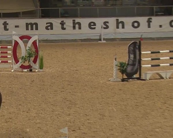 Reitturnier Kreuth/Opf. 2023