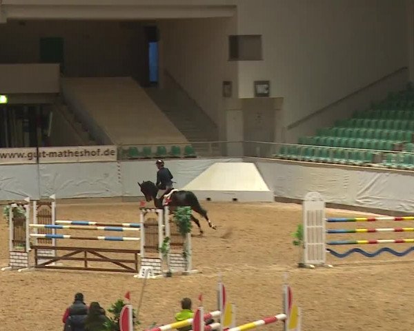 Reitturnier Kreuth/Opf. 2023