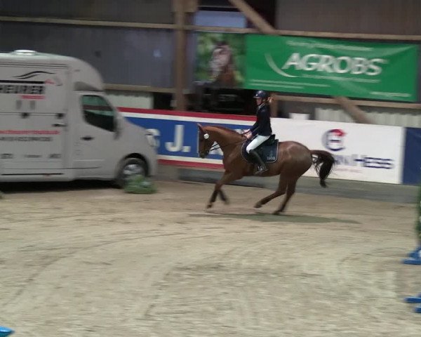 2. Nordic Jumping event Negernbötel 2023