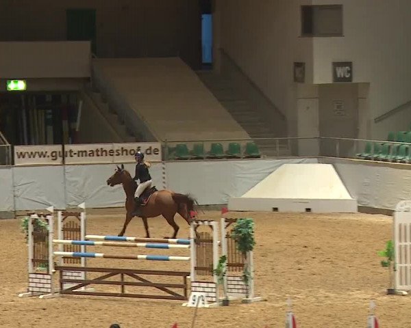 Reitturnier Kreuth/Opf. 2023
