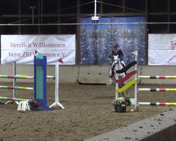 Reitturnier Kamen 2023