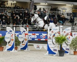 broodmare Fleurbelle N (KWPN (Royal Dutch Sporthorse), 2010, from Heartbreaker)
