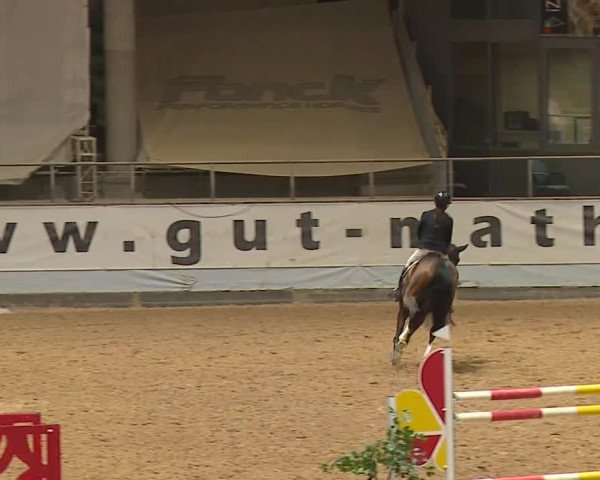 Reitturnier Kreuth/Opf. 2023