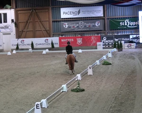 2. Nordic Jumping event Negernbötel 2023
