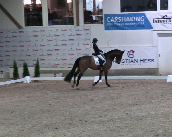2. Nordic Jumping event Negernbötel 2023