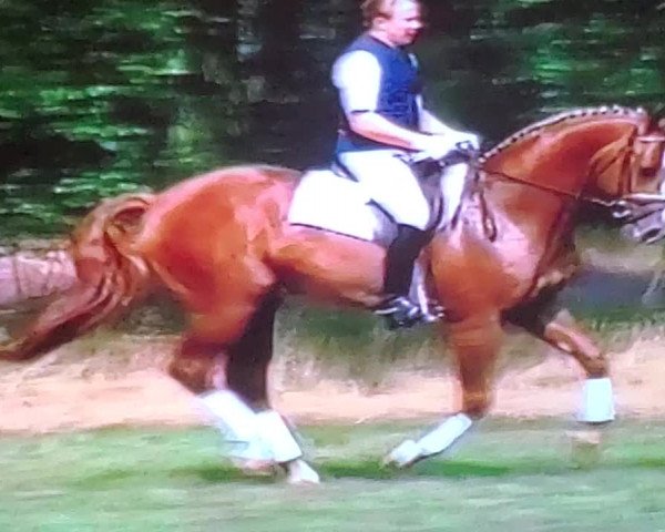 Video di Wittinger