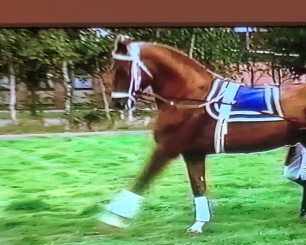 Video von Werther