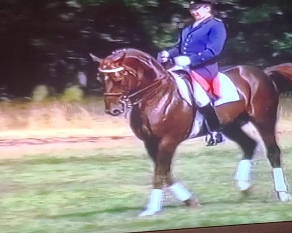 Video of Brentano II