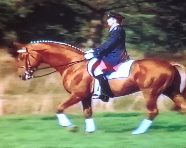 Video of Weltmeyer