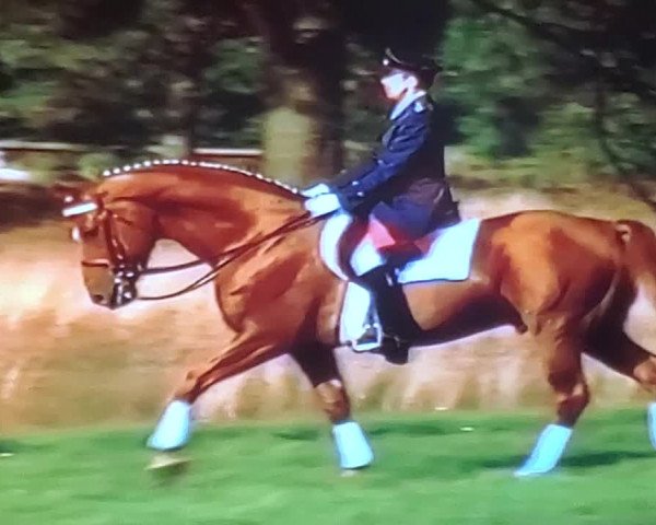 Video of Weltmeyer