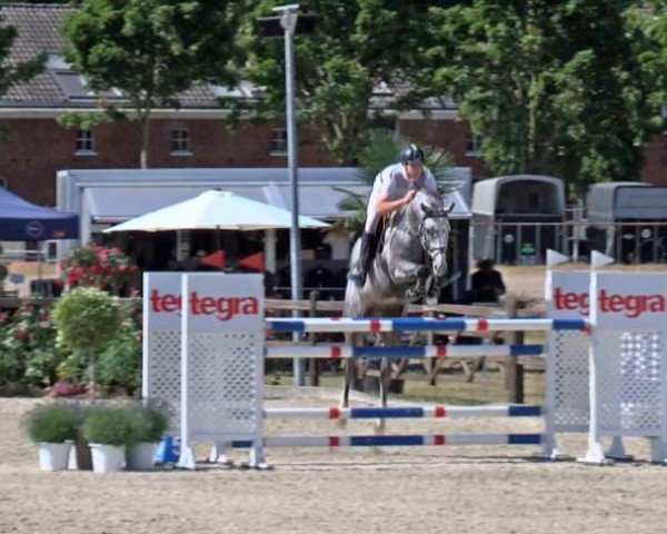 jumper Z On Air (Holsteiner, 2016, from Zuccero Hv)