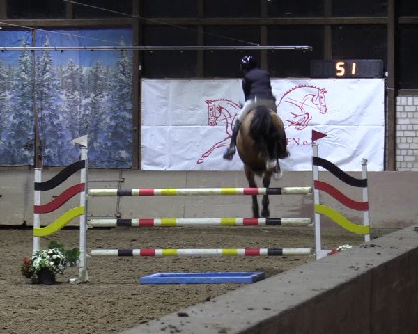 Reitturnier Kamen 2023