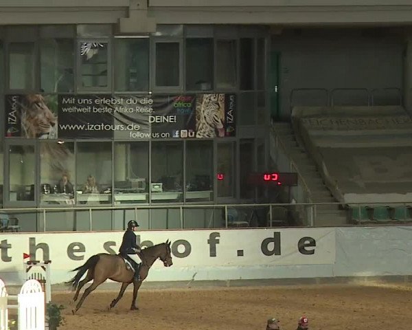 Reitturnier Kreuth/Opf. 2023