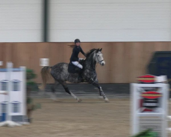 Reitturnier Zwickau 2023