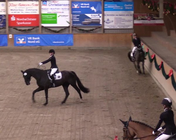 Reitturnier Leck 2023