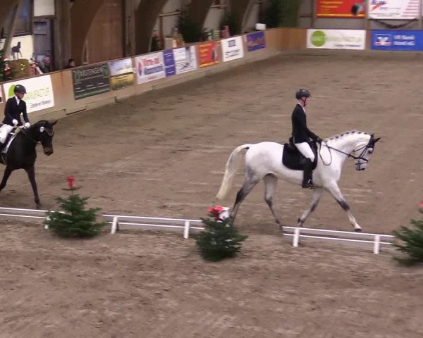 Reitturnier Leck 2023