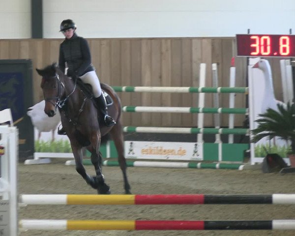 Reitturnier Zwickau 2023