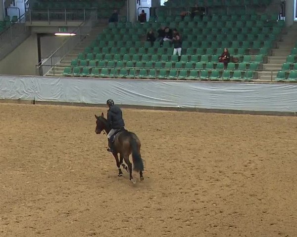 Reitturnier Kreuth/Opf. 2023