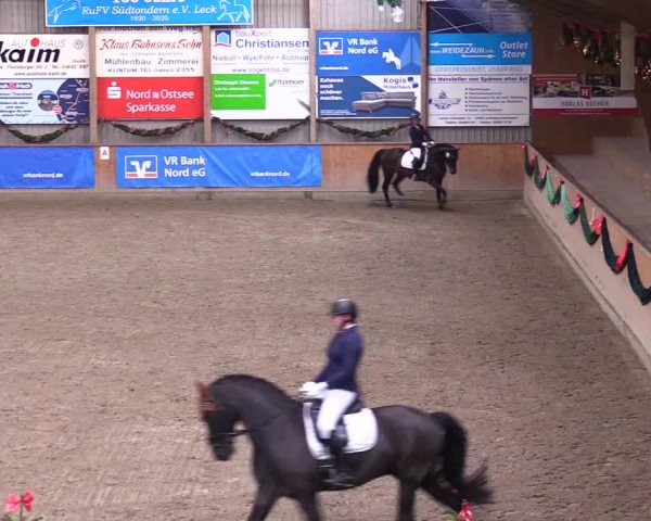 Reitturnier Leck 2023
