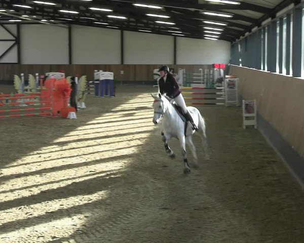 Reitturnier Zwickau 2023