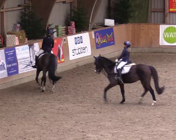 Reitturnier Leck 2023