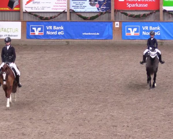 Reitturnier Leck 2023