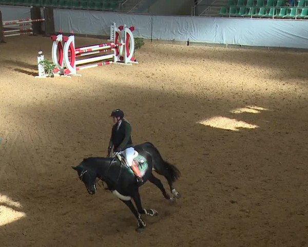 Reitturnier Kreuth/Opf. 2023