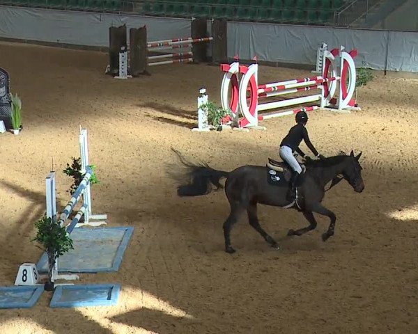 Reitturnier Kreuth/Opf. 2023