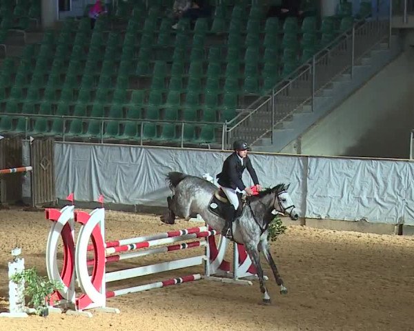 Reitturnier Kreuth/Opf. 2023